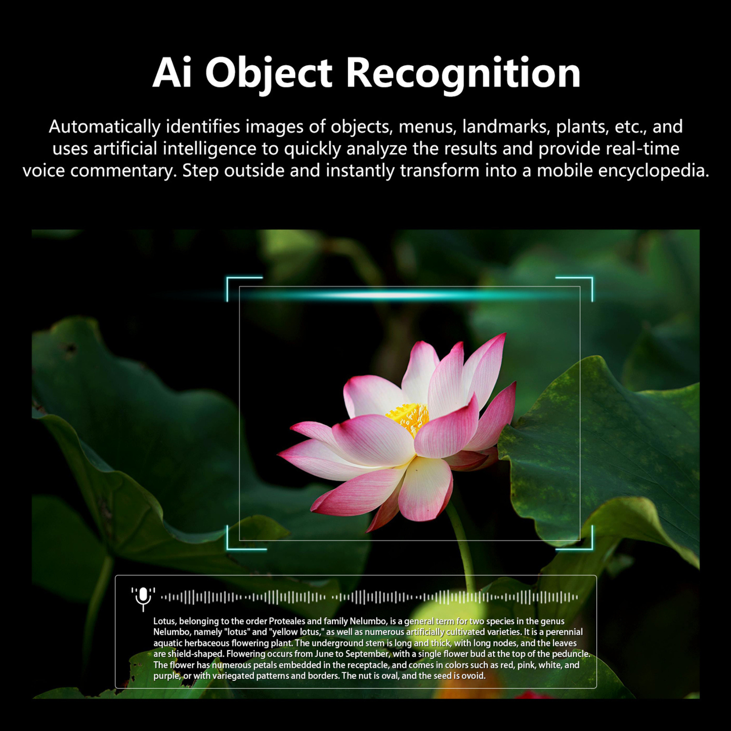 BV100 AI Smart Glasses with Camera